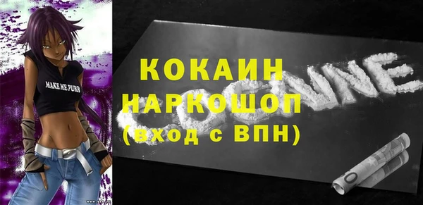 крисы Горняк